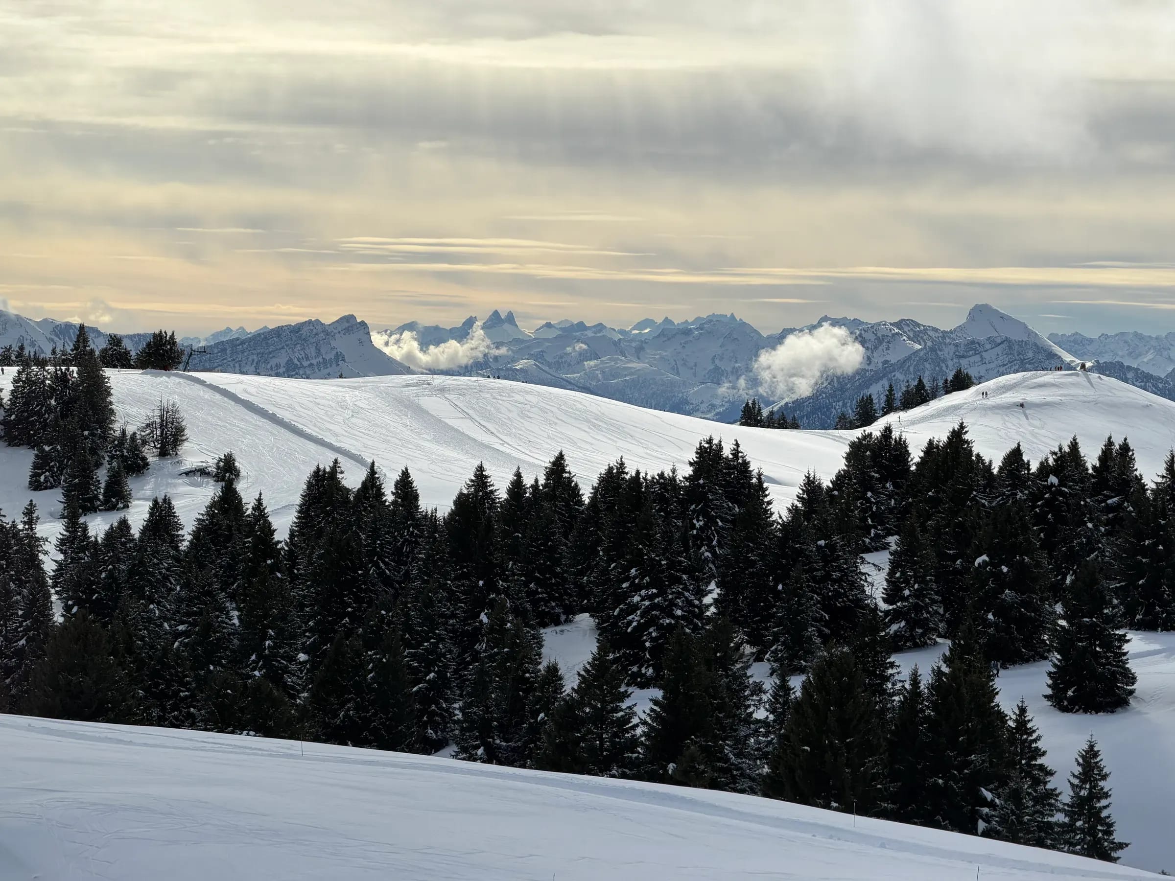 Plateau enneigé bordé d’épicéas